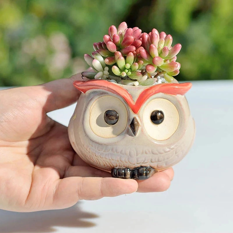 Cute Owl Ceramic Flower Pot