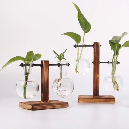 Hydroponic Plant Terrarium Vase