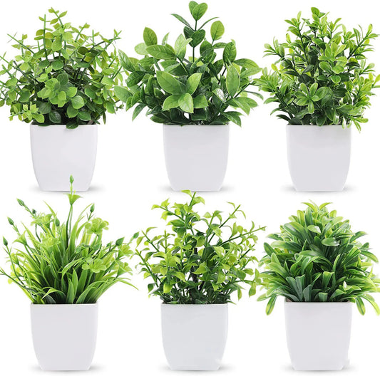 Artificial Green Flower (Potted)