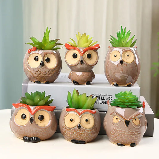 Cute Owl Ceramic Flower Pot